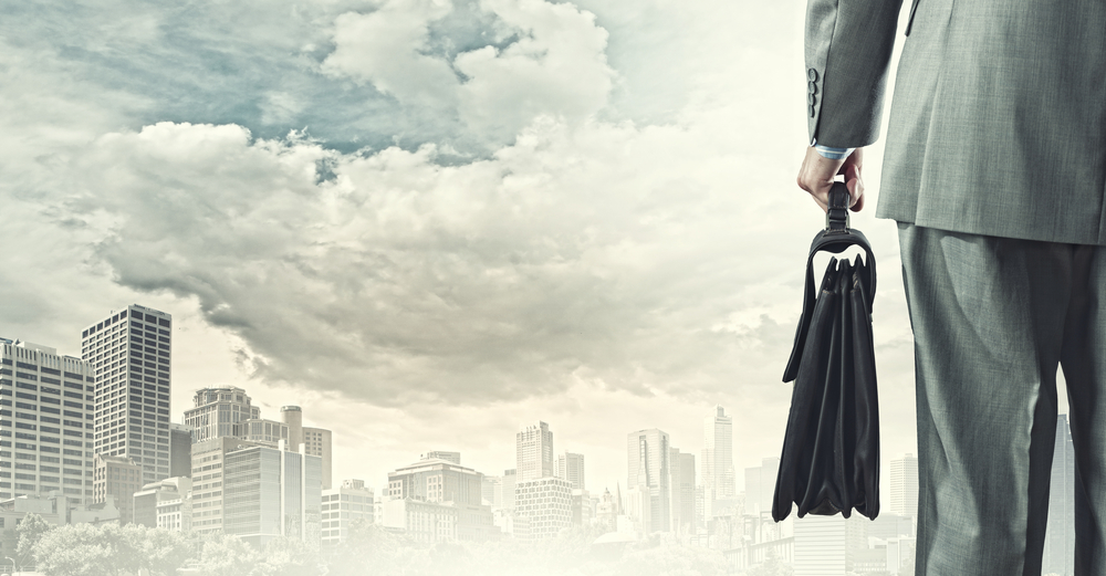 Back view of businessman with suitcase looking at city